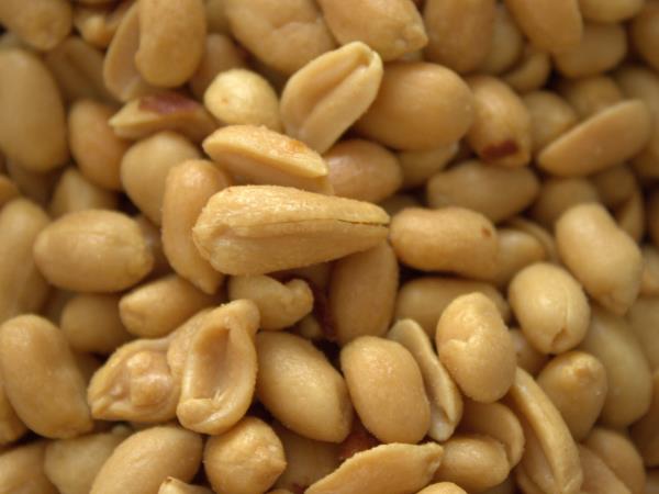 Bogastvo antioksidantov v arašidih